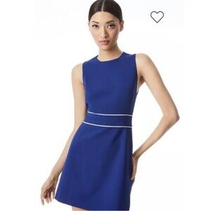 Alice and Olivia Coley Blue Mini Dress